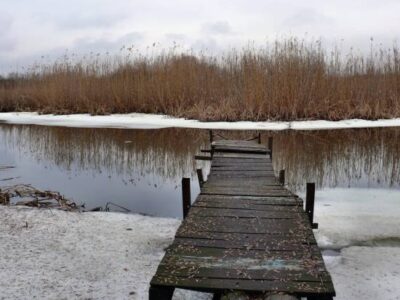 winter pond conditions fish kill