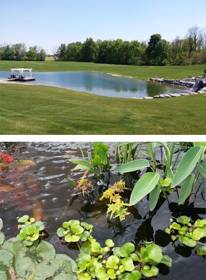 Pond Water Quality Treatment Filtration Rochester Syracuse NY