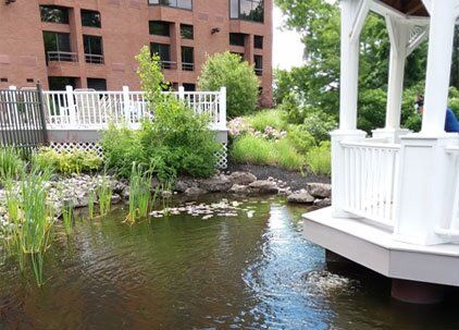 pond water quality testing management rochester syracuse ny