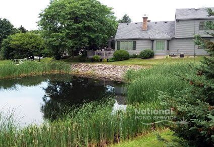 Residential Homeowner pond water feature maintenance management Rochester Syracuse NY