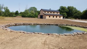 wildlife friendly pond western new york