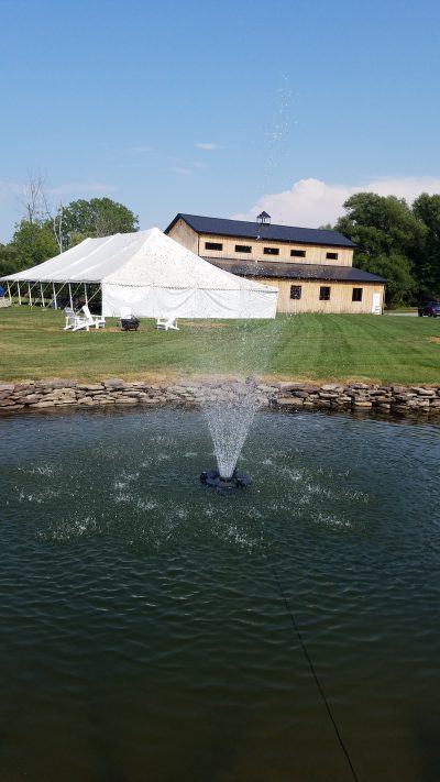 Pond aeration system for Pond Fish Stress in Hot Weather