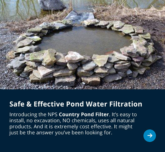 all natural safe effective country pond water filter system