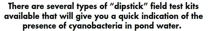 are quick cyanobacteria tests available?