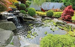 Leaking pond trouble shooting and solutions
