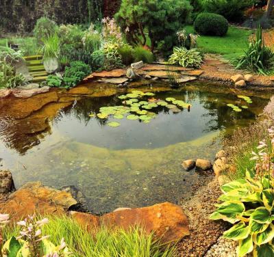 Pond Health Products - Probiotic Pond Bacteria