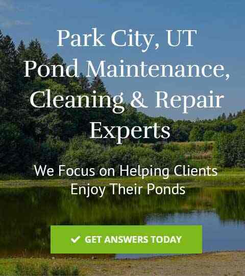 Park City, UT Pond Maintenance & Cleaning Service