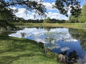 pond cleaning maintenance salt lake city provo utah