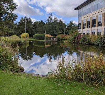 pond maintenance muck removal cleaning salt lake city utah