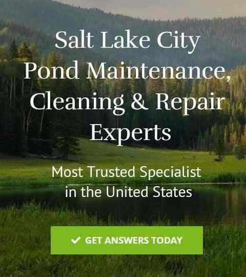 Salt Lake City Pond Maintenance Specialists