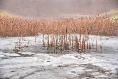 prevent common pond problems in winter