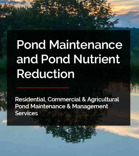 Pond Maintenance - Muck & Nutrient Reduction