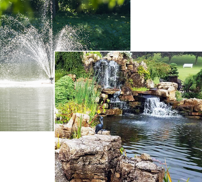 Water Garden & Water Features