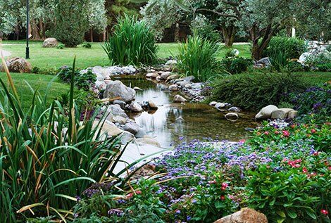 How to Build a Pond - A Beginners Guide