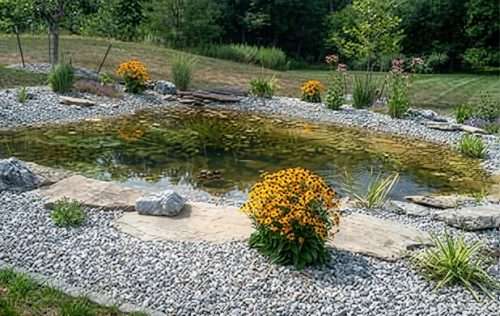 Titan Country Pond Filter