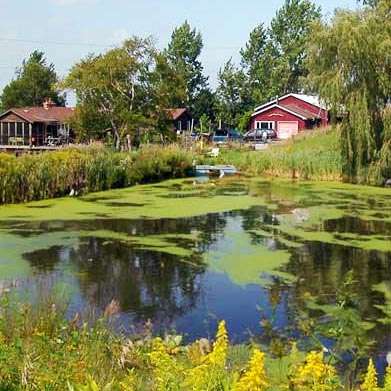 Pond Consultation