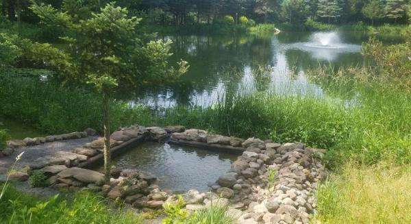 Country Pond water filtration system