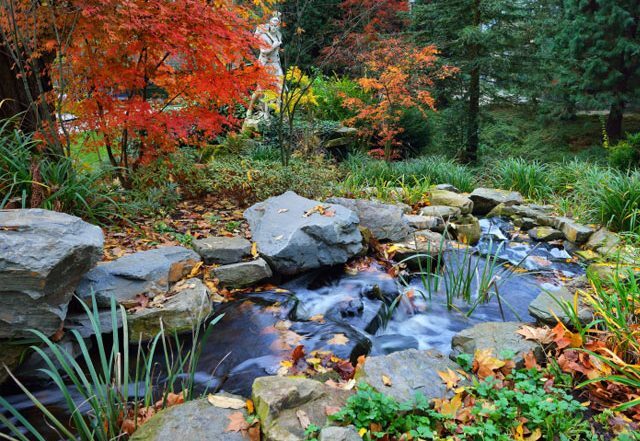 backyard water feature