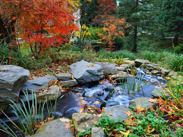 Why Consider Adding a Pond or Water Feature to Your Property