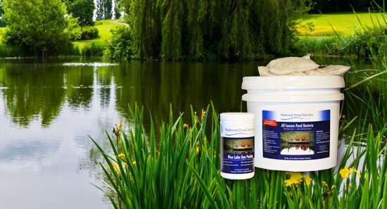 all natural pond water cleaning products muck remover