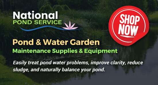 Pond Water cleaning Treatment Products New York
