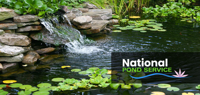 Pond Maintenance, Cleaning & Repair Services