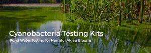 cyanobacteria evaluation