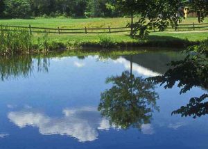 Pond Filtration System