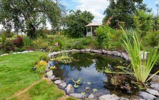 pond maintenance