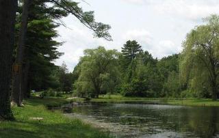 common pond problems in Upstate New York