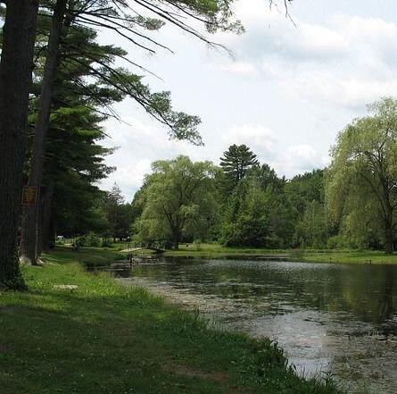 common pond problems in Upstate New York