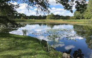 pond cleaning maintenance salt lake city provo utah