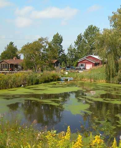 Muck Removal - Nutrient Reduction