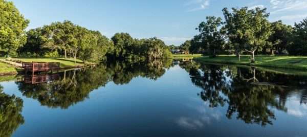 Natural Solutions for Large Pond Muck & Algae Management