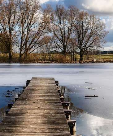 healthy winter pond water maintenance management
