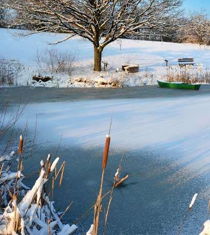 winter pond care maintenance