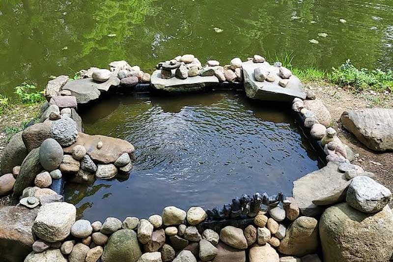 Clear Water with Country Pond Filtration System