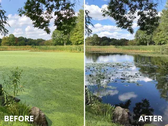 Pond Filtration Works - Before and After